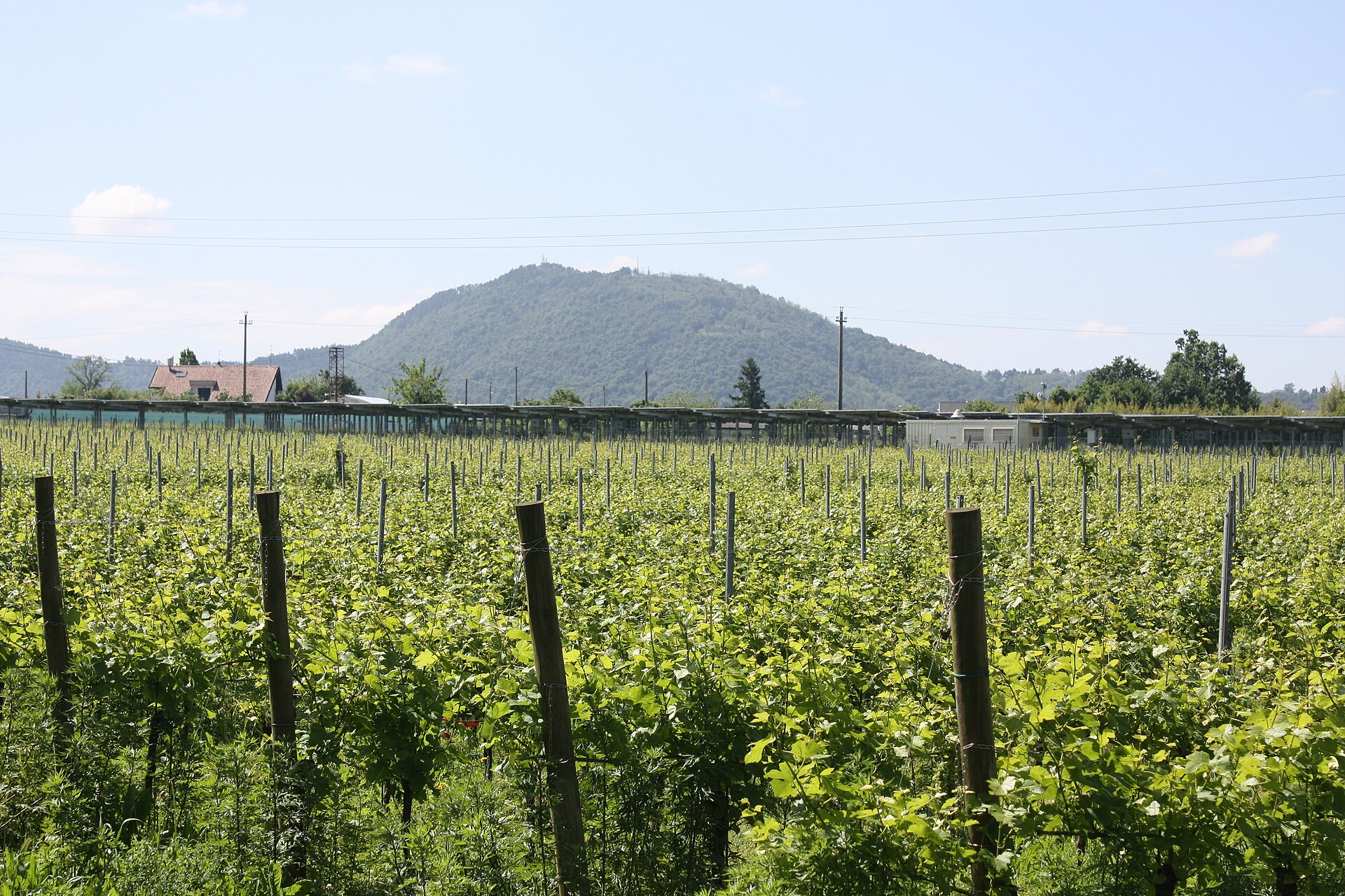 Autunno in Franciacorta 2008: scuola, impresa e territorio al centro degli incontri