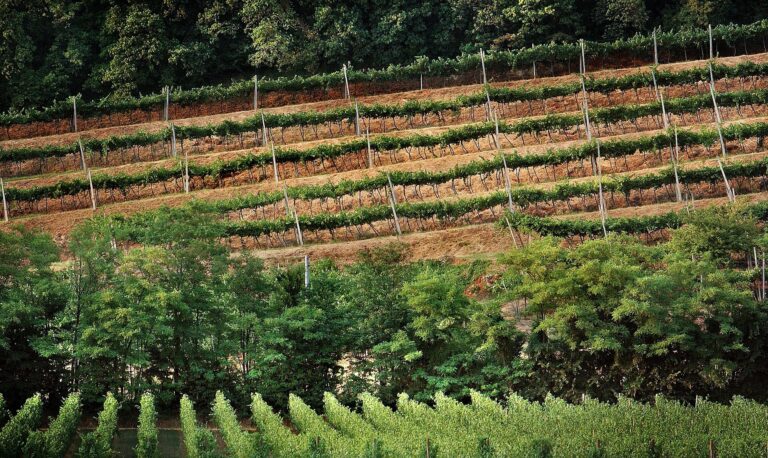 Giro d’Italia 2017, le voci su una cronometro dei vini in Franciacorta